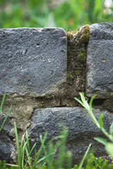 Brick texture, green grass