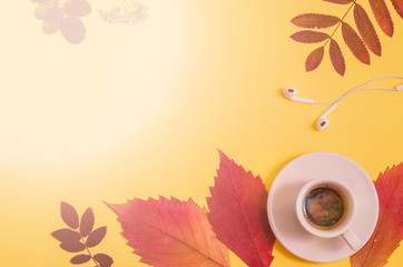 Coffee with herbarium and headphones on yellow background. Autumn. Flat lay. Top view. Copy space