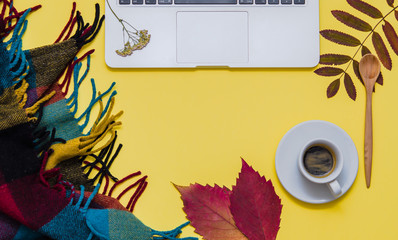 Laptop with coffee, herbarium and blanket on yellow background. Autumn. Flat lay. Top view. Copy space