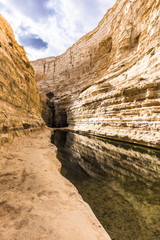 Fototapeta premium The Tsin river flows through the gorge in the Negev desert