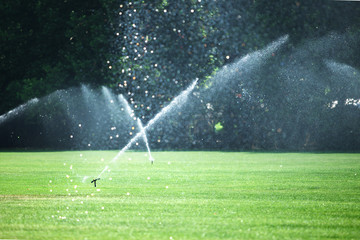 Green lawn sprinkled with automatic sprinkler