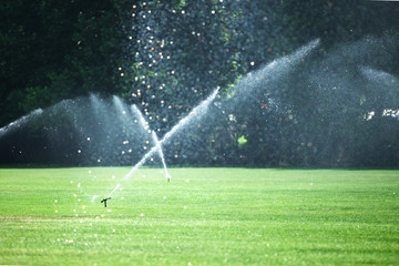 Green lawn sprinkled with automatic sprinkler