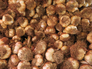 smoked garlic on the market