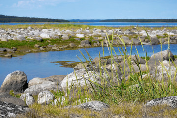 Stone coast of the White Sea