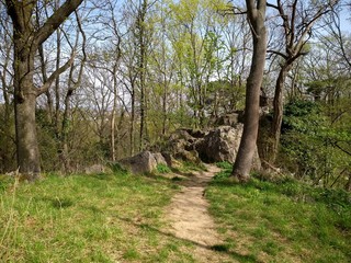 A path in the woods among the stone ruins