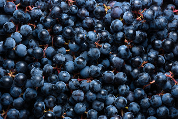 Background from dark grapes
