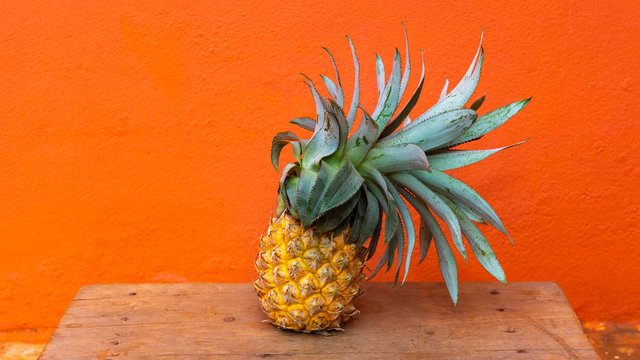 Colourful pineapple on wooden on orange background