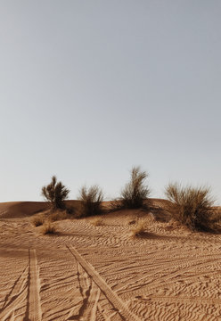Tire tracks on sand