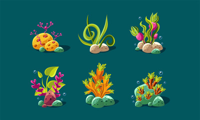 Seaweed and underwater plants set, fantasy plants, user interface assets for mobile apps or video games details vector Illustration