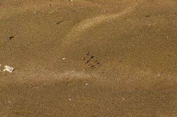 みなとまち海浜公園