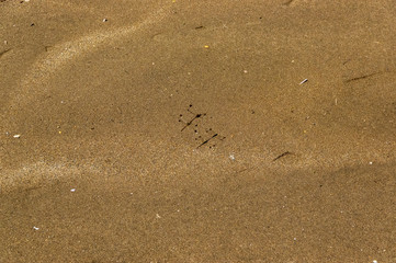 みなとまち海浜公園