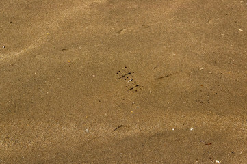 みなとまち海浜公園