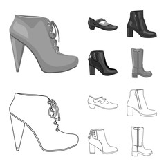 Vector illustration of footwear and woman logo. Set of footwear and foot stock vector illustration.