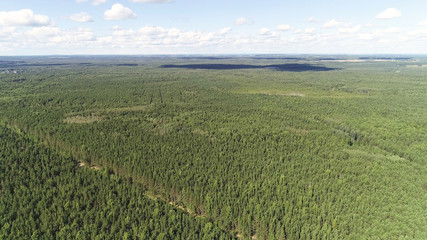 Aerial beautiful view of the green forest. Landscape with sky and forest.