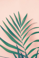 Fototapeta na wymiar Palm leaves over pink background. Trend vintage toned.