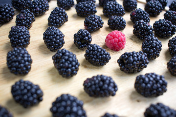 Tasty juicy berries set of many blackberries and one raspberry