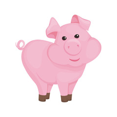 Pig cartoon pink piggy animal character vector illustration.