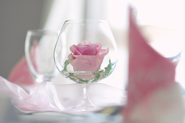 Flower of rose in a glass like table decoration