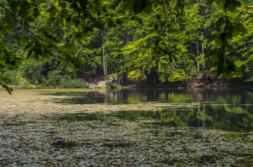 jeziorka duszatyńskie  © wedrownik52