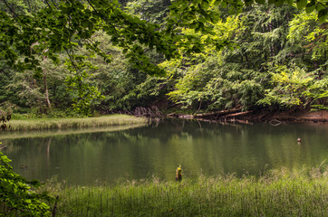 jeziorka duszatyńskie  © wedrownik52