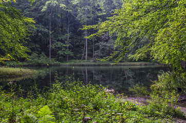 jeziorka duszatyńskie  © wedrownik52