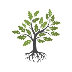 Tree and root icon