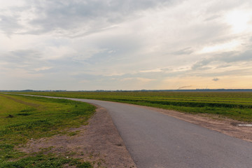 asphalt road in the field with  mown grass in the northern part of Russia.
