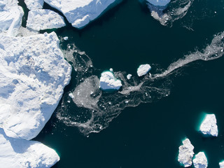 Obraz na płótnie Canvas Greenland | Buckle whales