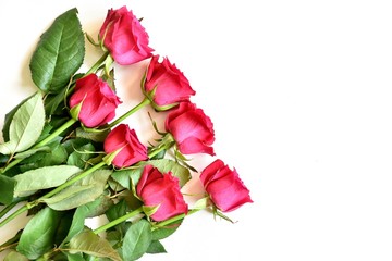 Roses