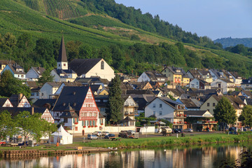 Beautiful wine growing town Zell (an der Mosel) at the river Moselle in Germany, a popular tourist river cruise destination