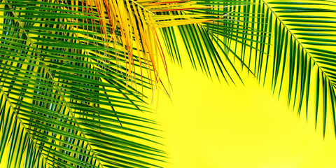 Tropical Palm Leaves Yellow Background Flat Lay