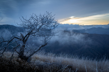 高原の春先の朝・高ボッチ高原