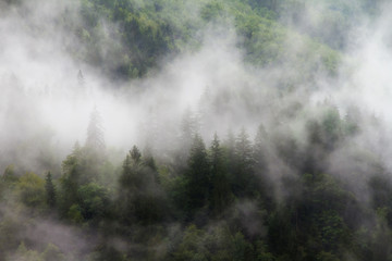 Fototapeta na wymiar Clouds and fog in the green forest mountains in the Rhone valley near Brig and Sion in Switzerland, on a summer morning