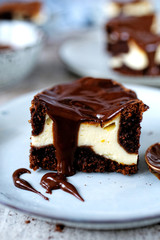 Cheesecake with chocolate cake
