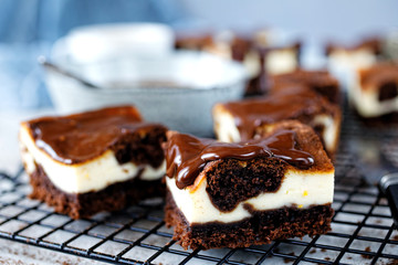 Cheesecake with chocolate cake
