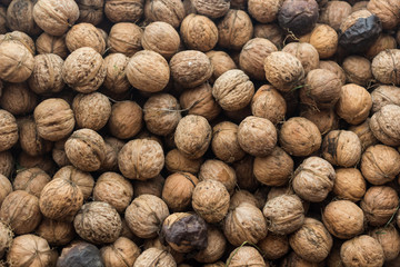 Walnut background texture
