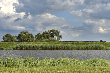 A cloudy sky and a lake width long, dense green grasses on the shore.