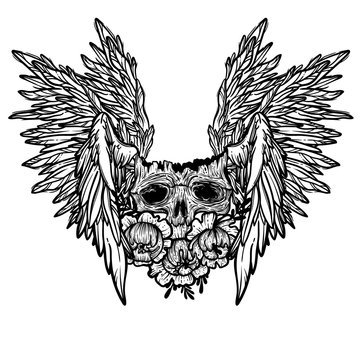 Vector print with a human skull,wings and flowers. Gothic brutal skull. Angel. For print t-shirts or book coloring.