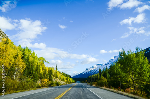 秋のカナディアンロッキー 夕方のアイスフィールド パークウェイ 黄葉あり 車なし カナダ アルバータ州 Wall Mural Tatsuo115