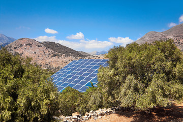 Solar panels among olive groves near Elounda, Crete, in Greece