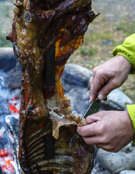 Asado al Palo, a whole lamb on a spit, Patagonia, AysŽn Region, Chile.