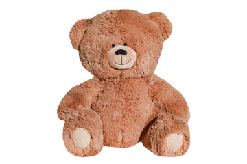Teddy bear toy isolated on white background 
