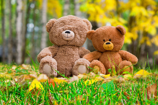 Two Teddy bear toys on autumn natural background
