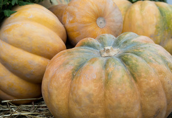 Pumpkin composition