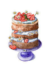 Watercolor cake with strawberries, cream and chamomiles. Illustration isolated on a white background. For greeting birthday postcard, poster for cafe and pastry shop.