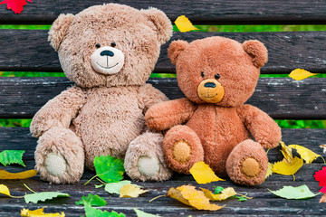 Two Teddy bear toys on autumn natural background
