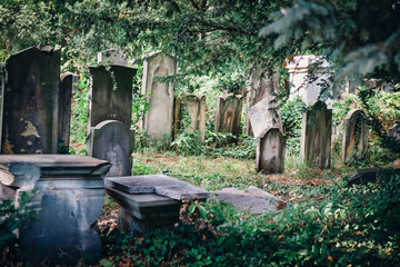 Historic Old Jewish cemetery in Wroclaw, Poland. Background for halloween design and text