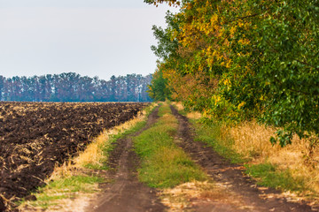 Fototapeta na wymiar Rural not asphalted road passing through an agricultural field.