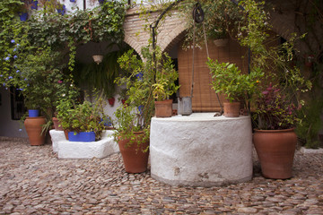 Detalle de típico patio andaluz con suelo de piedra, pozo para agua y decorado con diferentes...