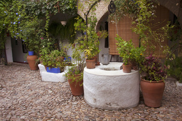 Fototapeta na wymiar Precioso patio Andaluz